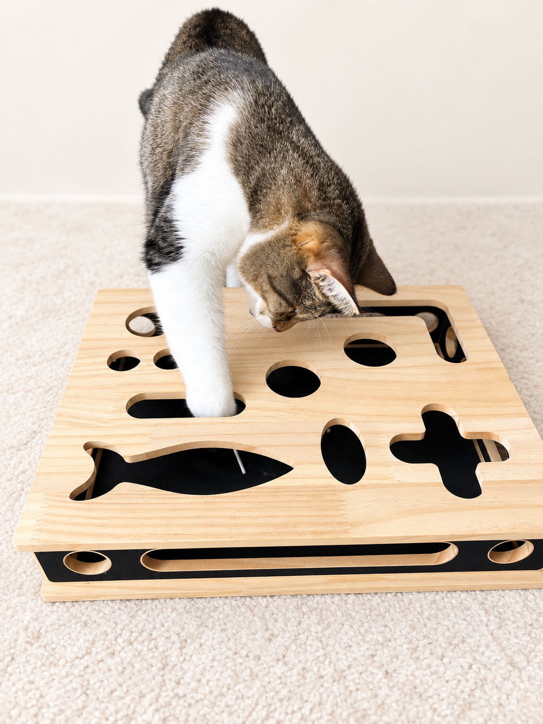 Curiosity Maze Puzzle Box