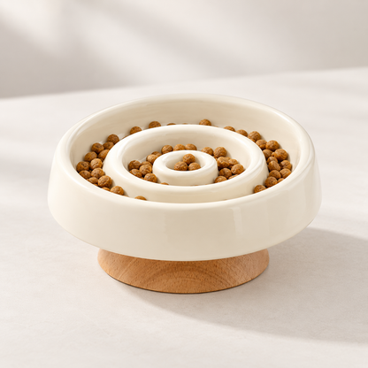 Elevated Ceramic Slow Feeder Cat Bowl